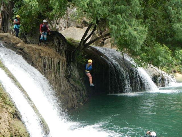  Pure adrenaline 